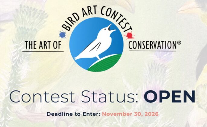 Bird Art Contest 2026–27