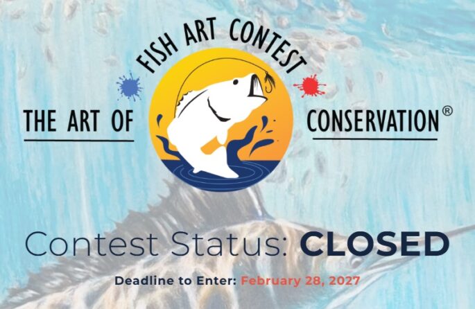 FISH ART CONTEST 2026–2027