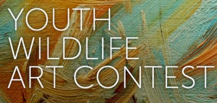George Montgomery/NRA Youth Wildlife Art Contest 2026 (USA)